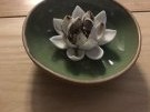 黄浦足道水疗,都市中的养生瑰宝