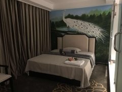 黄浦高端SPA,都市中的宁静绿洲